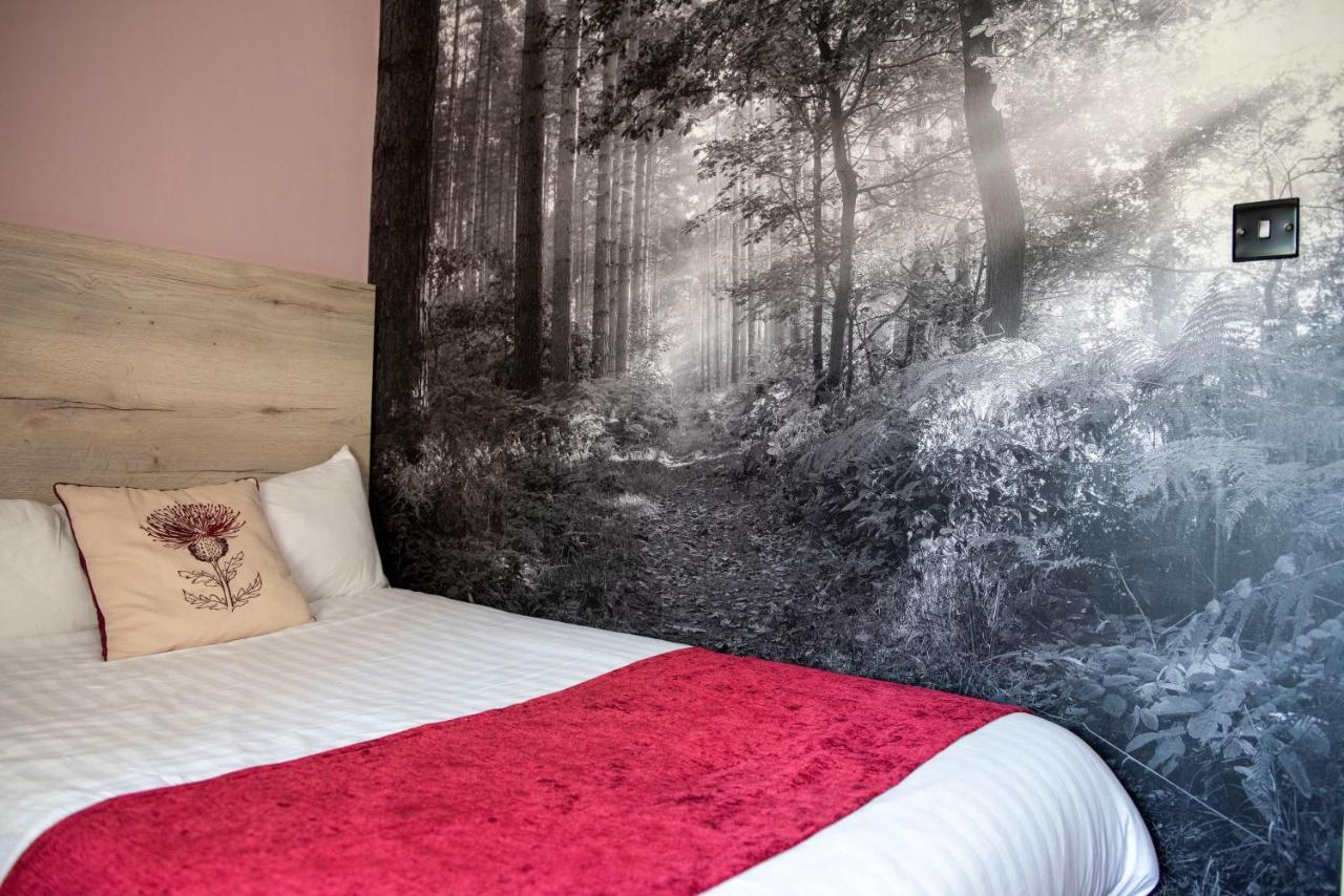 מנספילד Bridleways Guesthouse & Holiday Homes מראה חיצוני תמונה